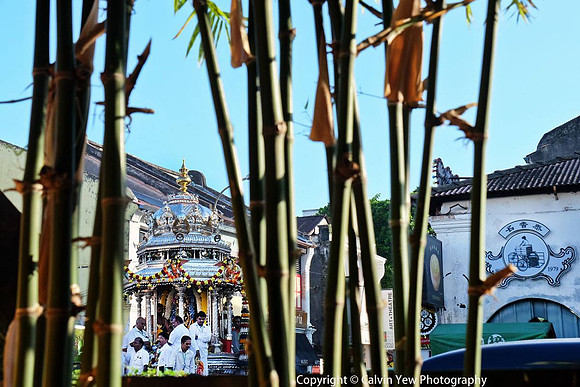 Malaysia,Penang,Pulau Pinang,??,Georgetown,Thaipusam
