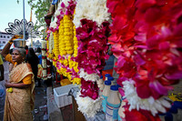 Batu Caves,Thaipusam,????,????