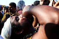 Batu Caves,Thaipusam,????,????